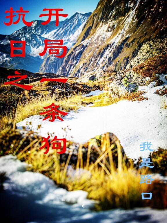 抗日之开局一条狗 抗日之开局一条狗