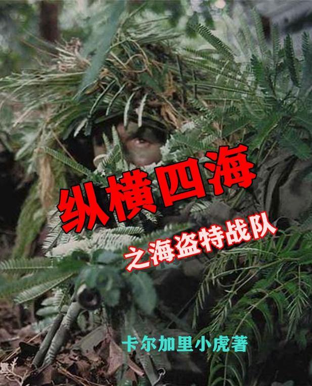 纵横四海之海盗特战队 纵横四海之海盗特战队