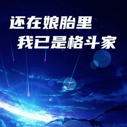 还在娘胎里,我已是格斗家 还在娘胎里,我已是格斗家