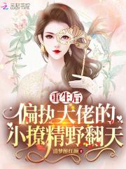 重生后,偏执大佬的小撩精野翻天 重生后,偏执大佬的小撩精野翻天