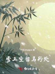 雪上空留马行处 雪上空留马行处