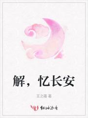 解,忆长安 解,忆长安