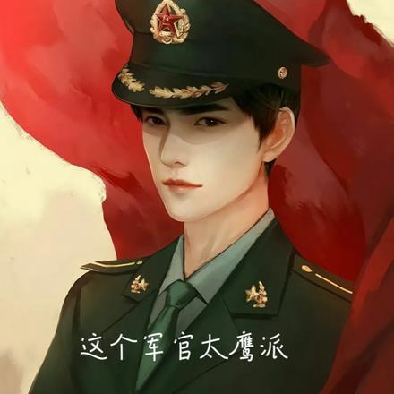 这个军官太鹰派 这个军官太鹰派