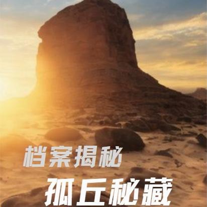 余晚晚的全部