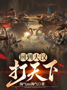 回到大汉打天下 回到大汉打天下