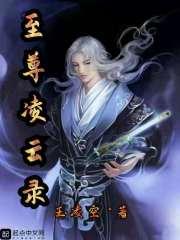 至尊凌云录 至尊凌云录