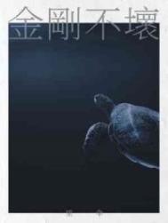 金刚不坏 金刚不坏