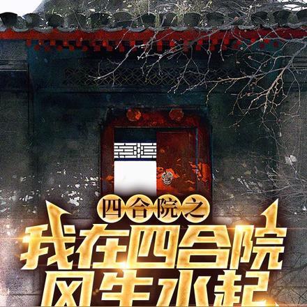 四合院之我在四合院风生水起 四合院之我在四合院风生水起
