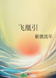 飞凰引 飞凰引