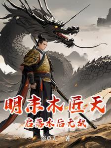 明末木匠天启落水后无敌 明末木匠天启落水后无敌