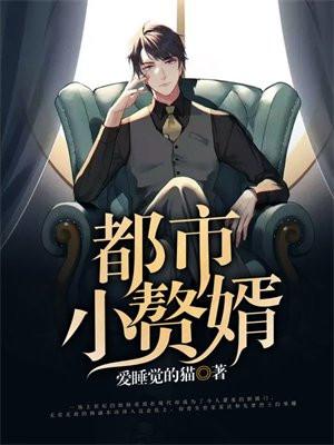 都市小赘婿 都市小赘婿