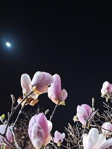 吸收情绪变强的