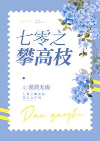 七零之攀高枝 七零之攀高枝
