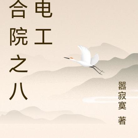 四合院之八级电工 四合院之八级电工