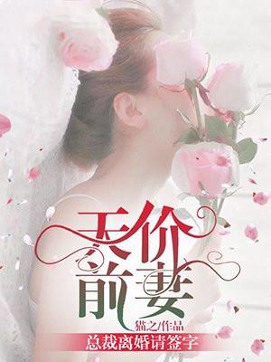 天价前妻:总裁离婚请签字 天价前妻:总裁离婚请签字