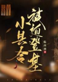 小县令被迫登基(基建) 小县令被迫登基(基建)
