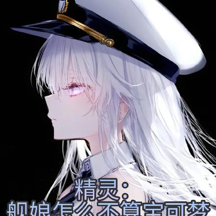 精灵:舰娘怎么不是宝可梦了! 精灵:舰娘怎么不是宝可梦了!