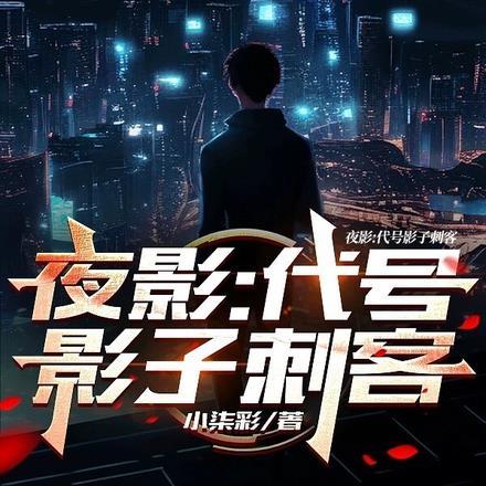 夜影:代号影子刺客 夜影:代号影子刺客