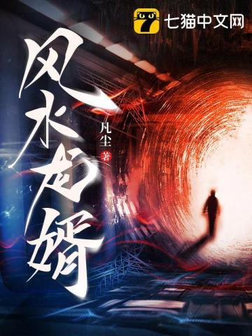 风水龙婿 风水龙婿
