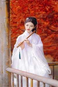 娇妻养成手扎锅